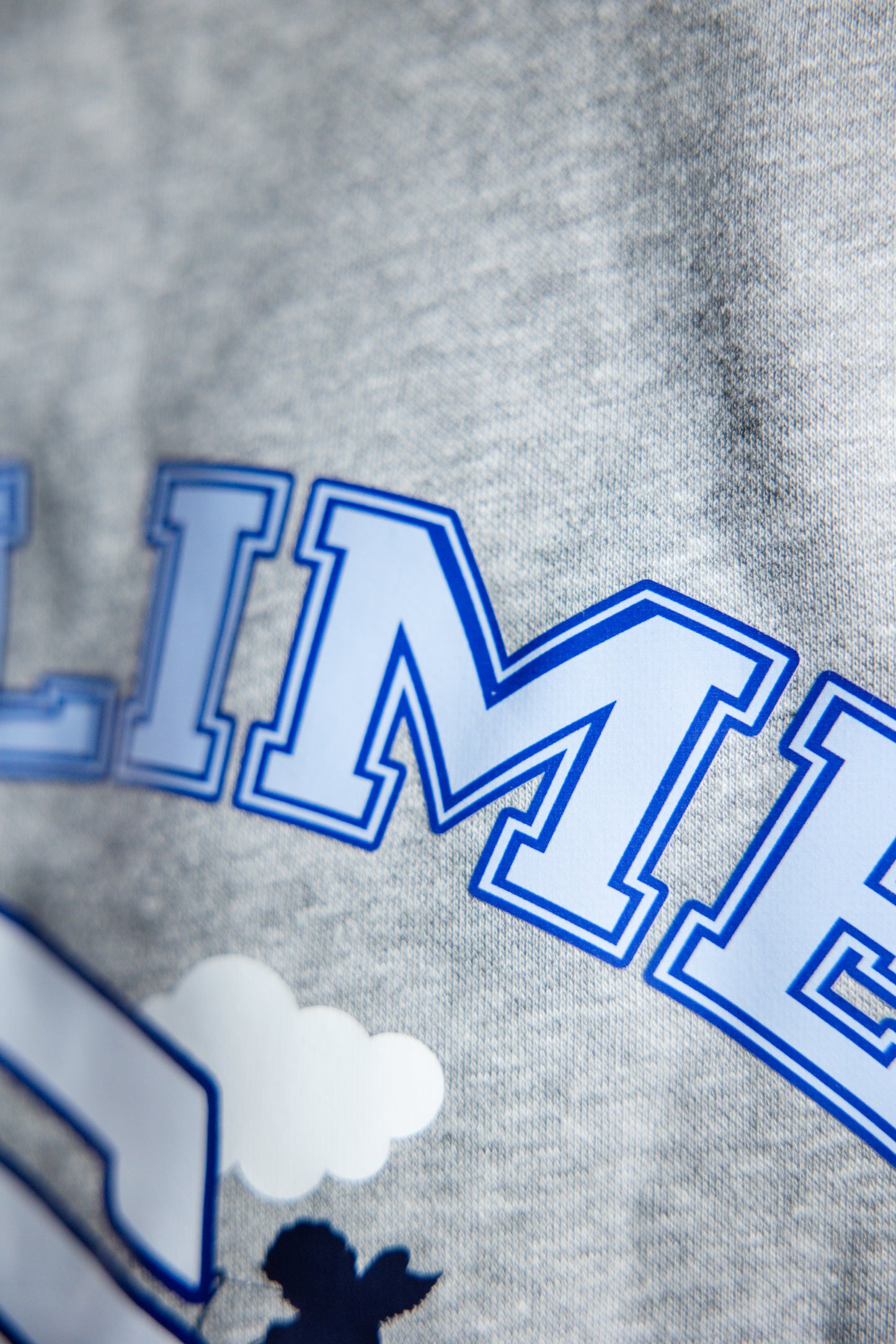 Dessuadora "SUBLIME" Gris